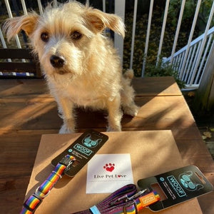 Dog Leashes by WOOF CONCEPT