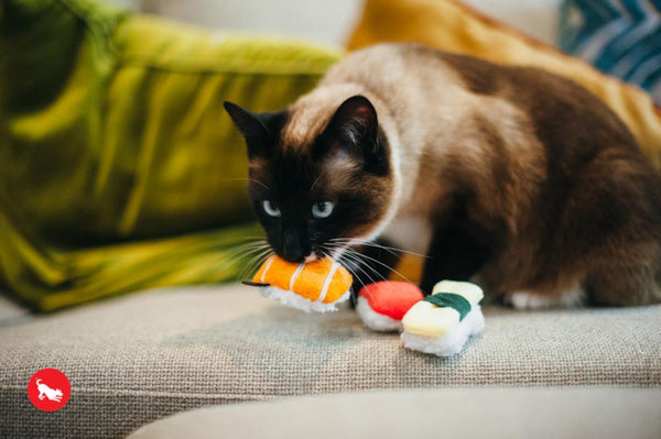 Feline Frenzy Plush Toy Collection for Cats sushi